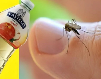 Dica Incrível Para Acabar com Pernilongos